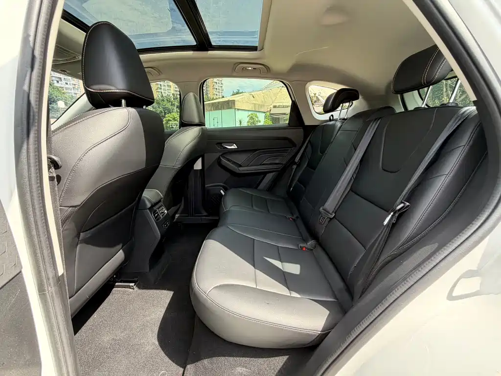 Haval Chitu — миниатюра 17