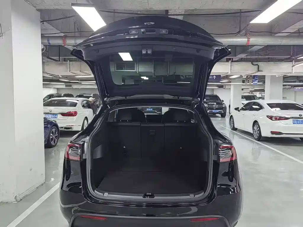 Tesla Model Y — миниатюра 16