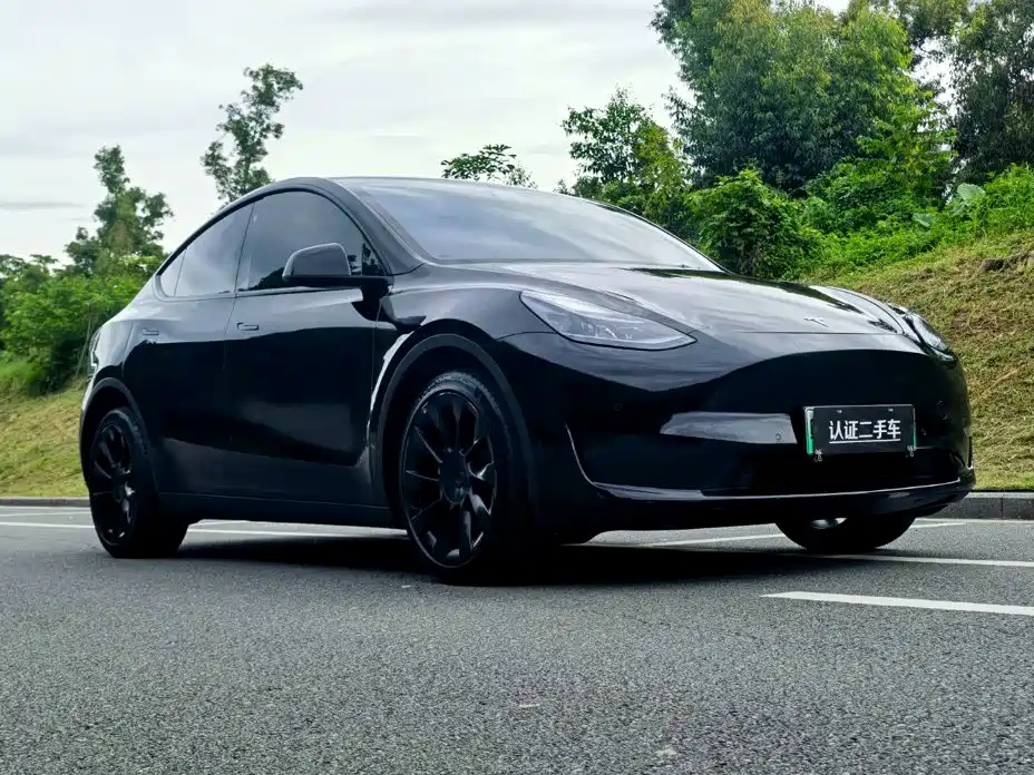 Tesla Model Y — миниатюра 3