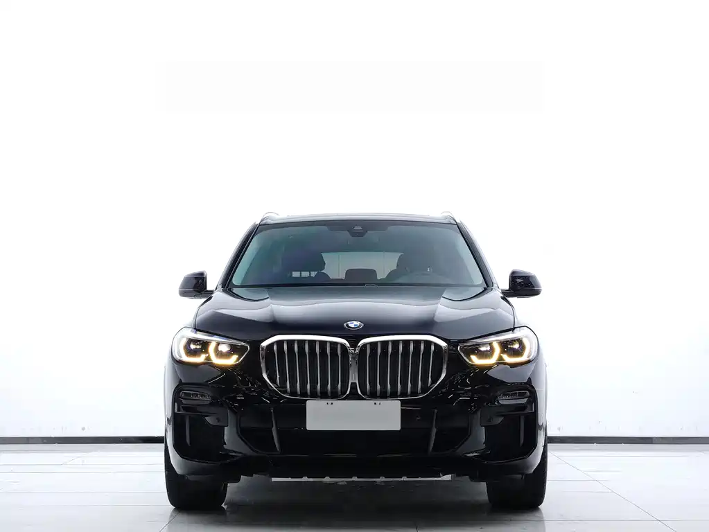 BMW X5 (Import) — миниатюра 2