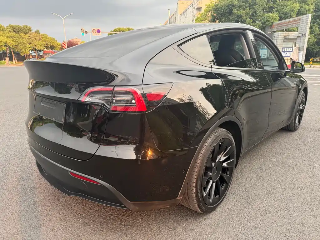 Tesla Model Y — миниатюра 7
