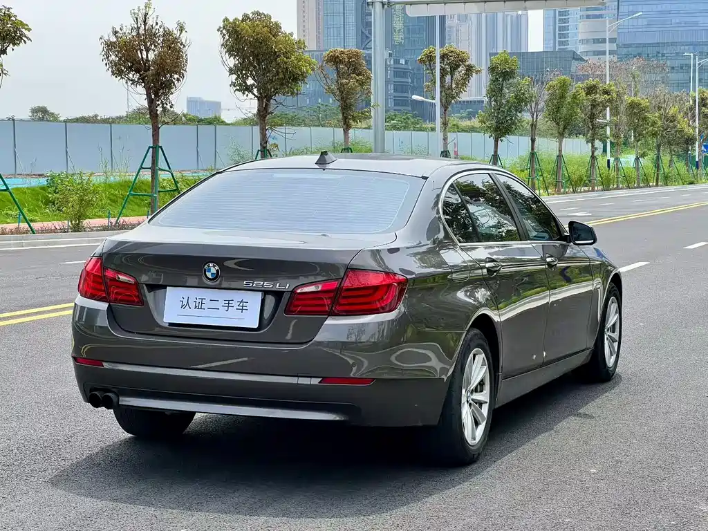BMW 5 Series 5 2013 525Li Lead