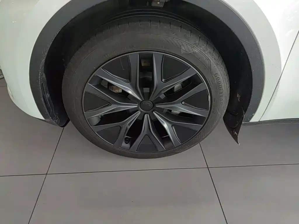 Tesla Model Y — миниатюра 23