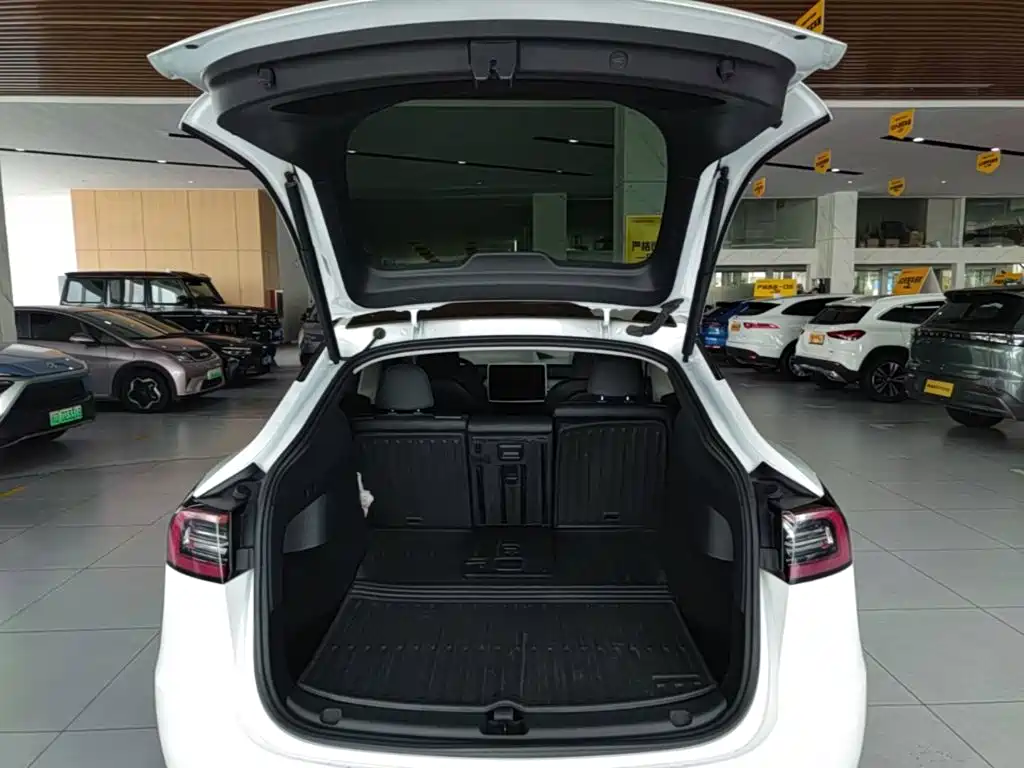 Tesla Model Y — миниатюра 19