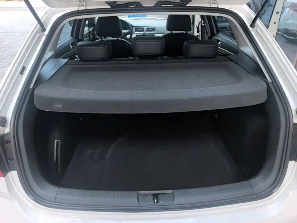 Volkswagen Gran Lavida — миниатюра 19