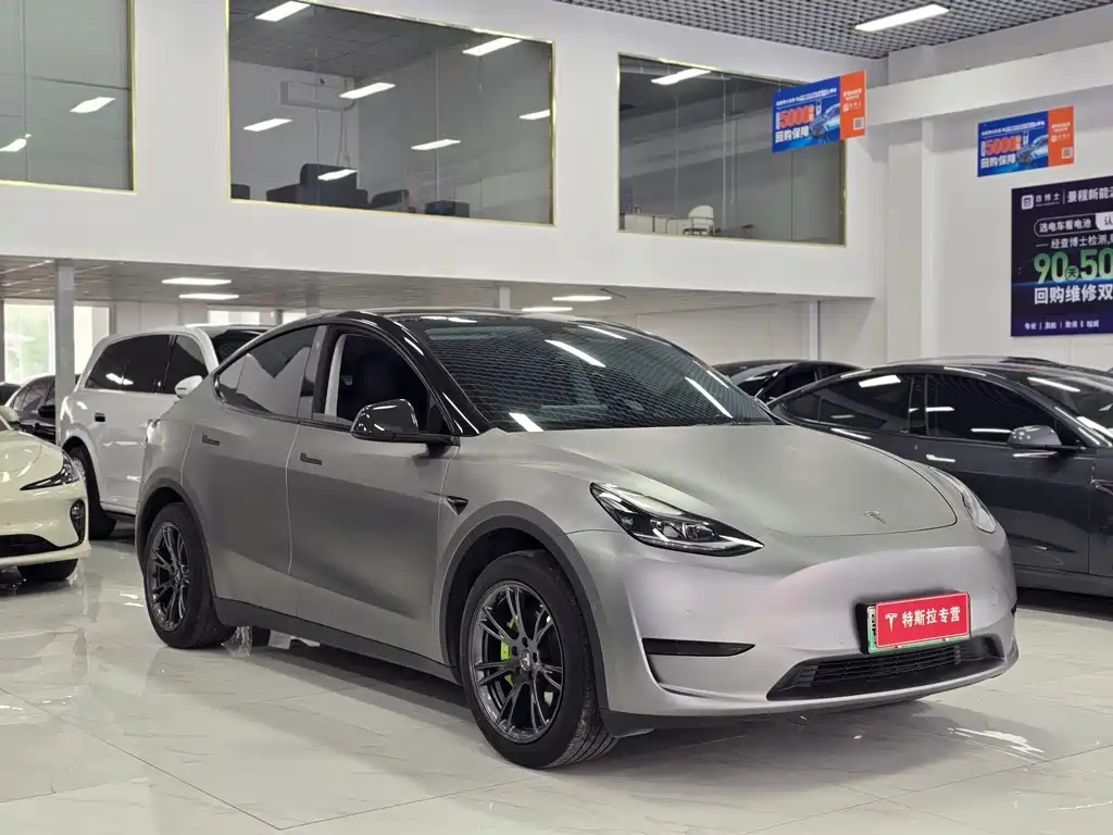 Tesla Model Y — миниатюра 3