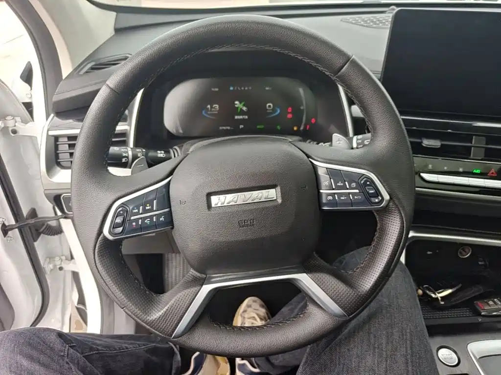 Haval H6 — миниатюра 11
