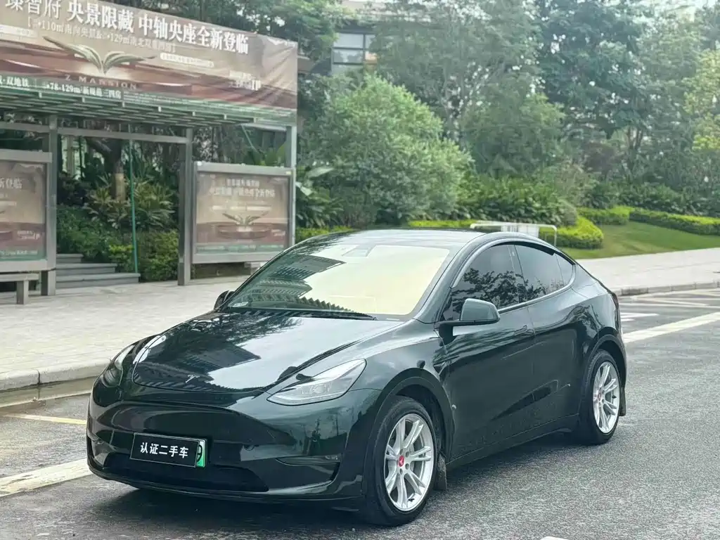 Tesla Model Y 2021 Standard Range RWD Edition