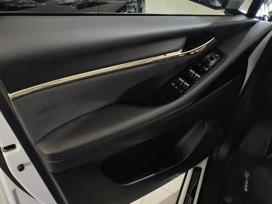 GAC E9 2023 E9 MAX