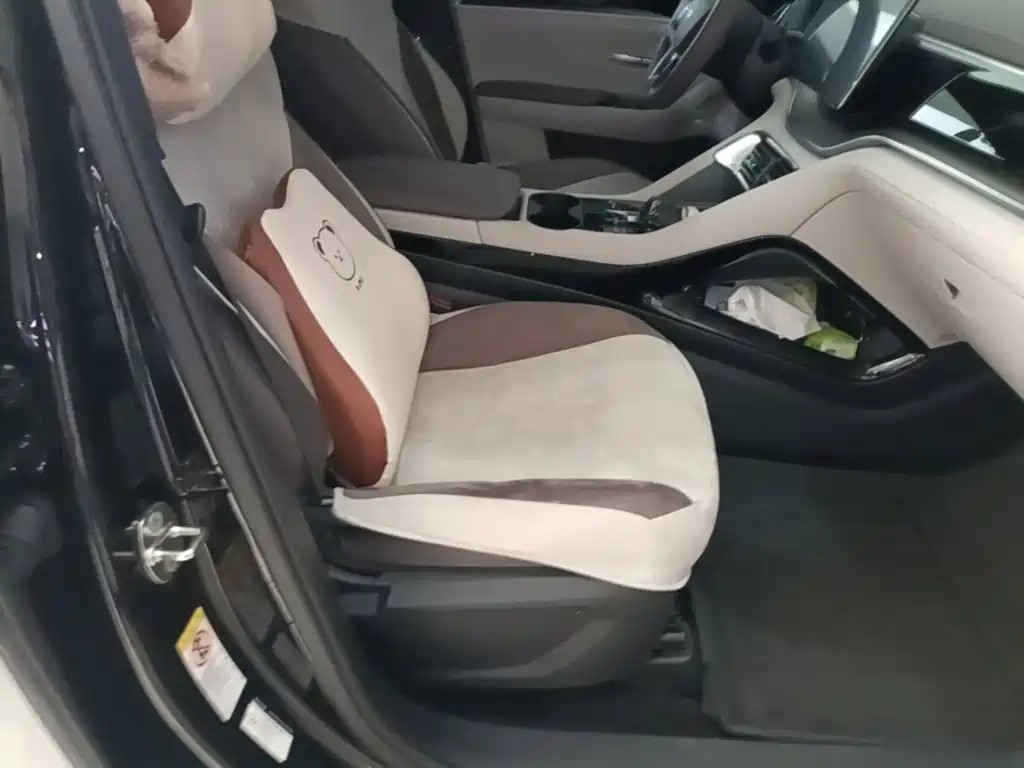 BYD PLUS New Energy — миниатюра 25
