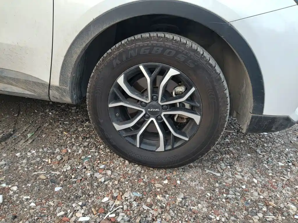 Haval H6 — миниатюра 8