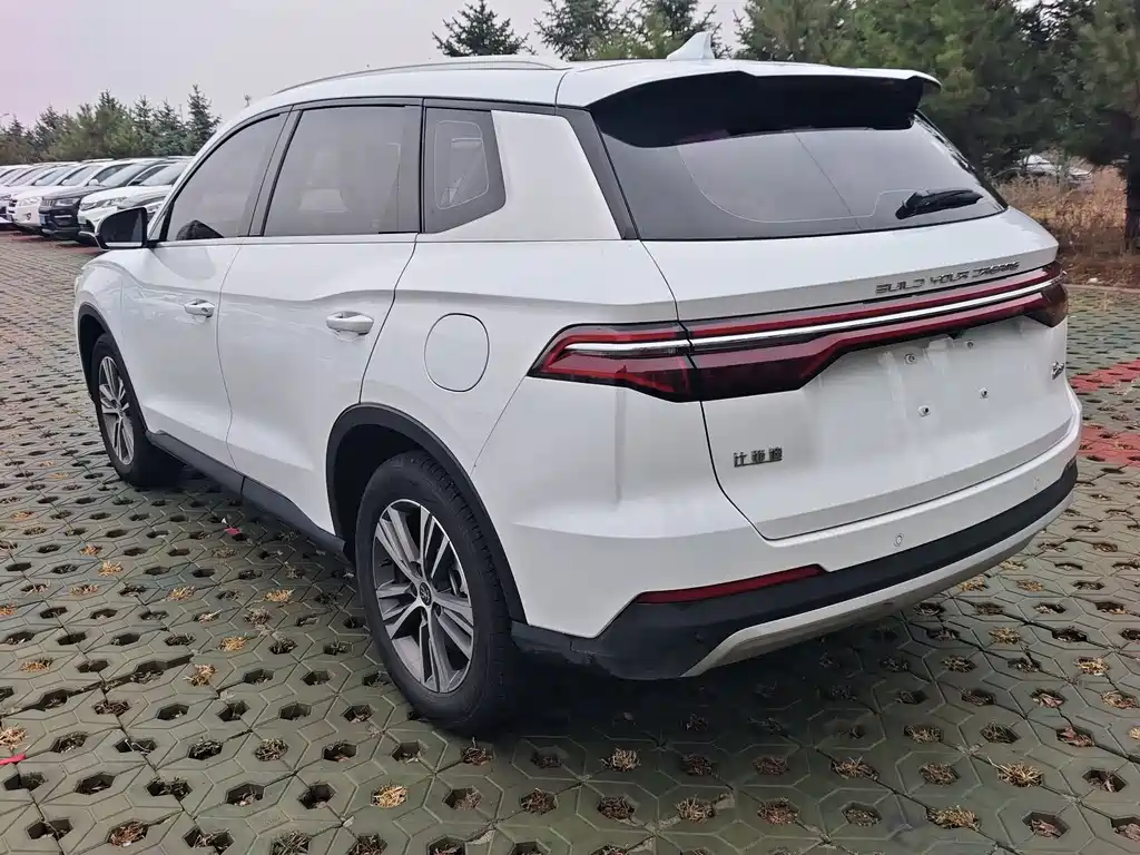 BYD Pro — миниатюра 9