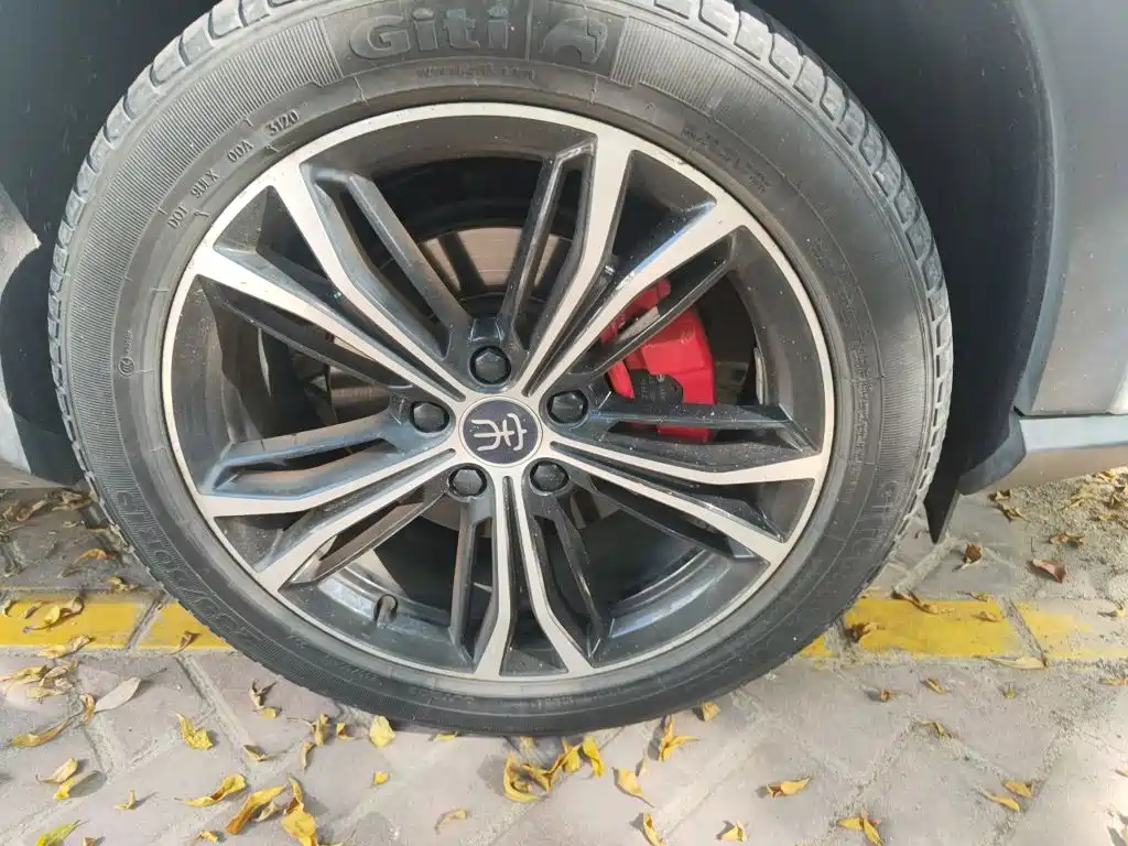 BYD PLUS — миниатюра 24
