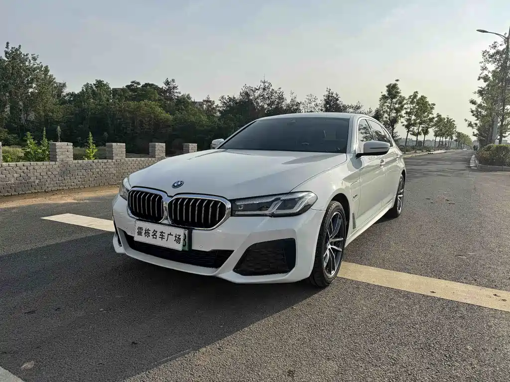 BMW 5 Series New Energy 2022