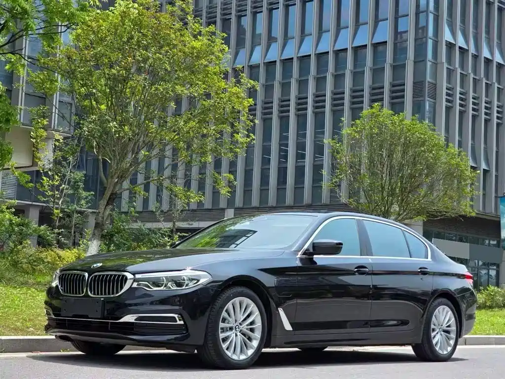 BMW 5 Series New Energy 2020