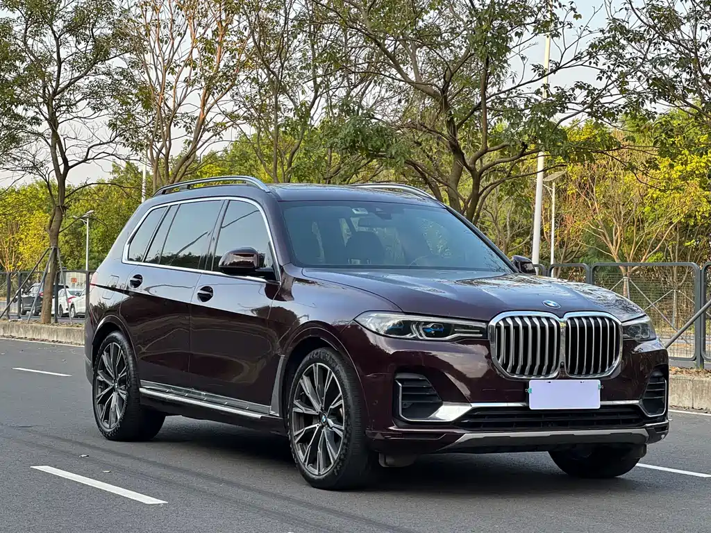 BMW X7 — миниатюра 3