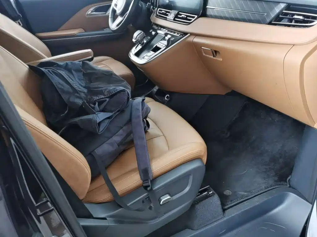 Hongqi Hongqi HQ9 PHEV — миниатюра 25