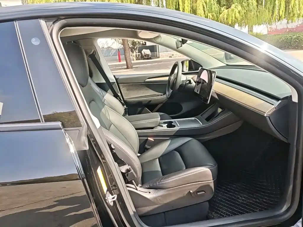 Tesla Model Y — миниатюра 25