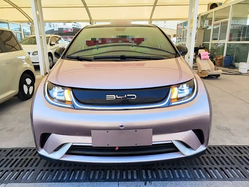 BYD Dolphin — миниатюра 3