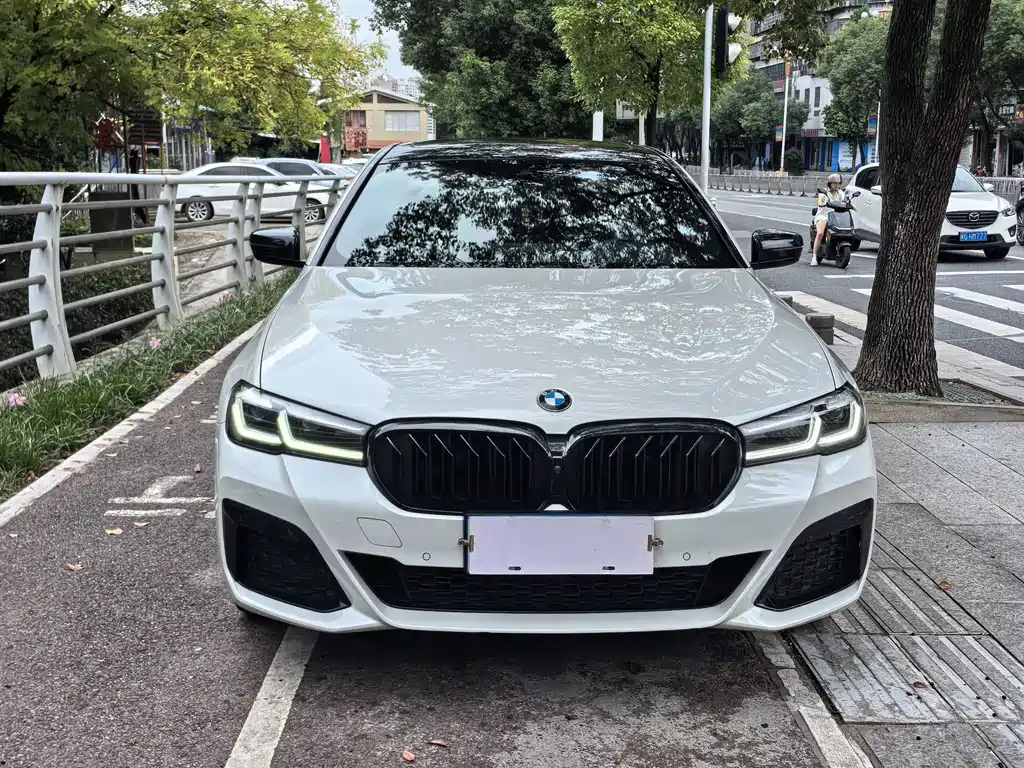 BMW 5 Series — миниатюра 2