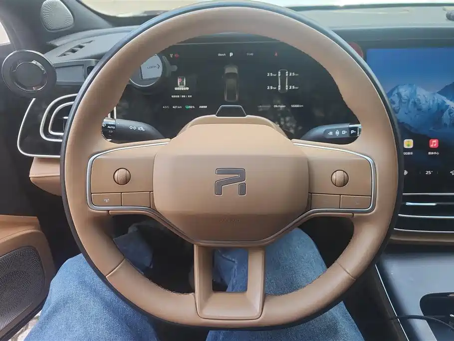 RISING AUTO FEIFAN F7