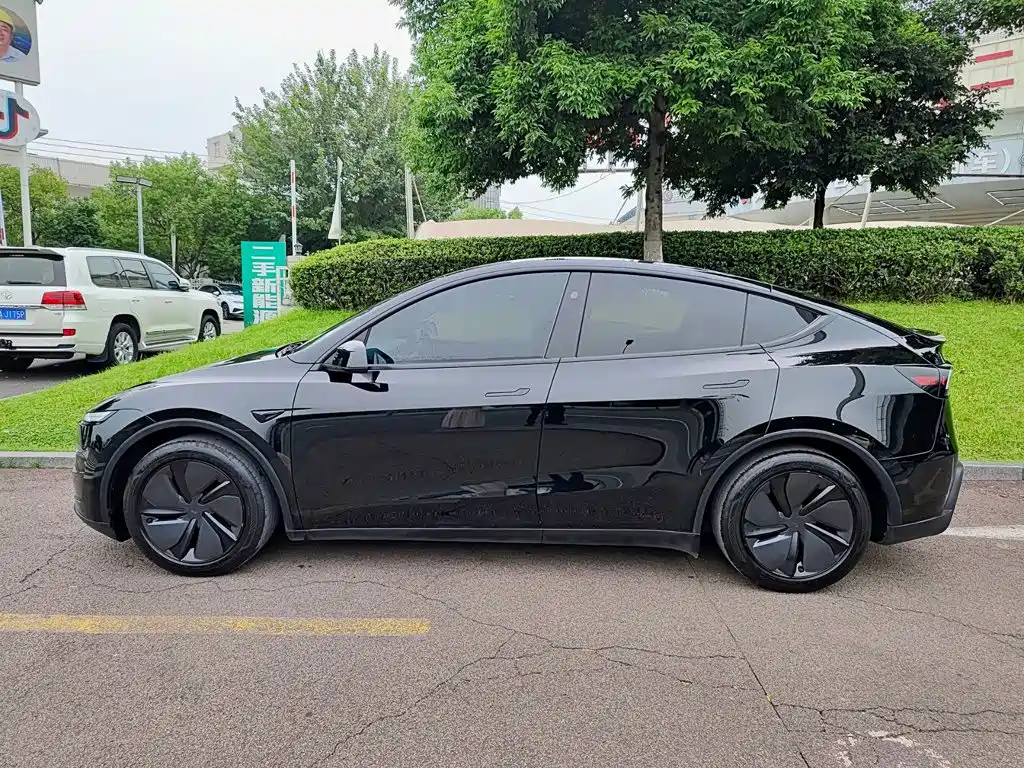 Tesla Model Y — миниатюра 3