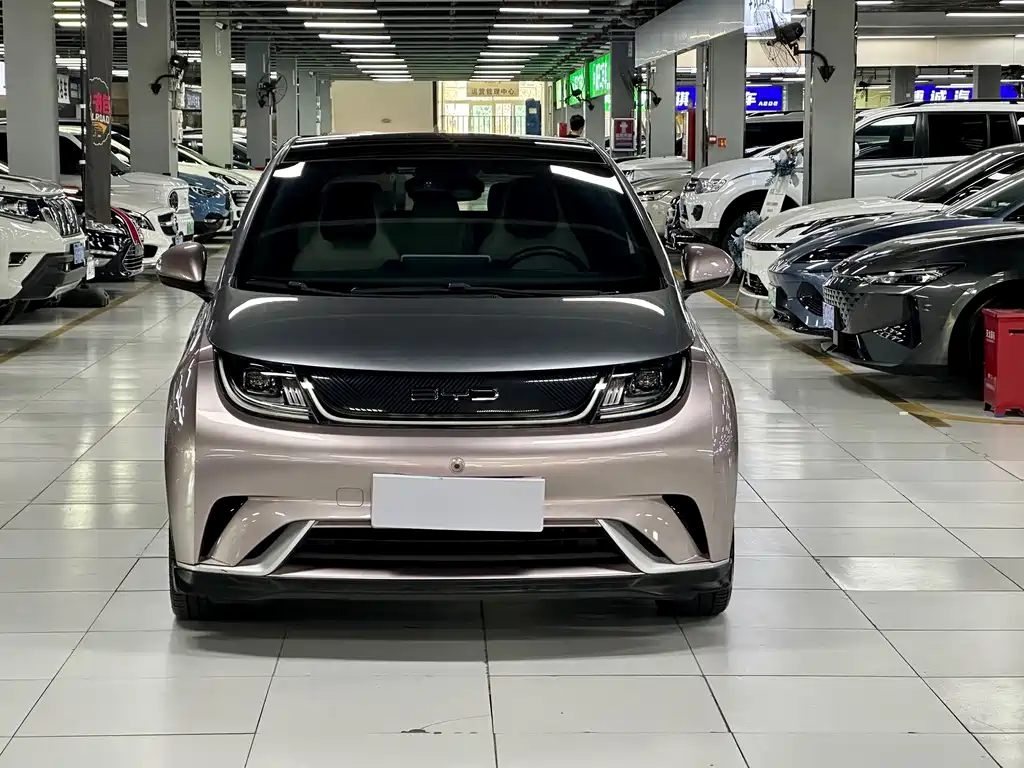 BYD Dolphin — миниатюра 2