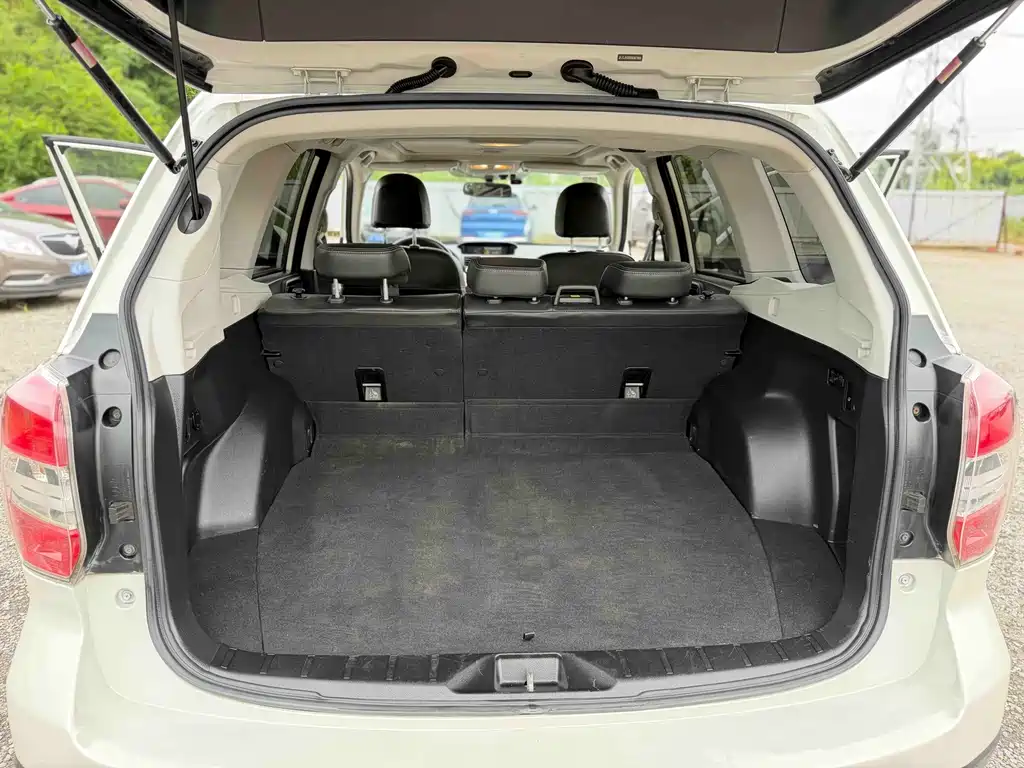 Subaru Forester — миниатюра 17