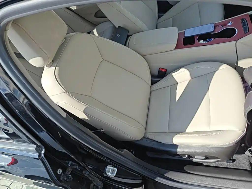 Buick Regal — миниатюра 25