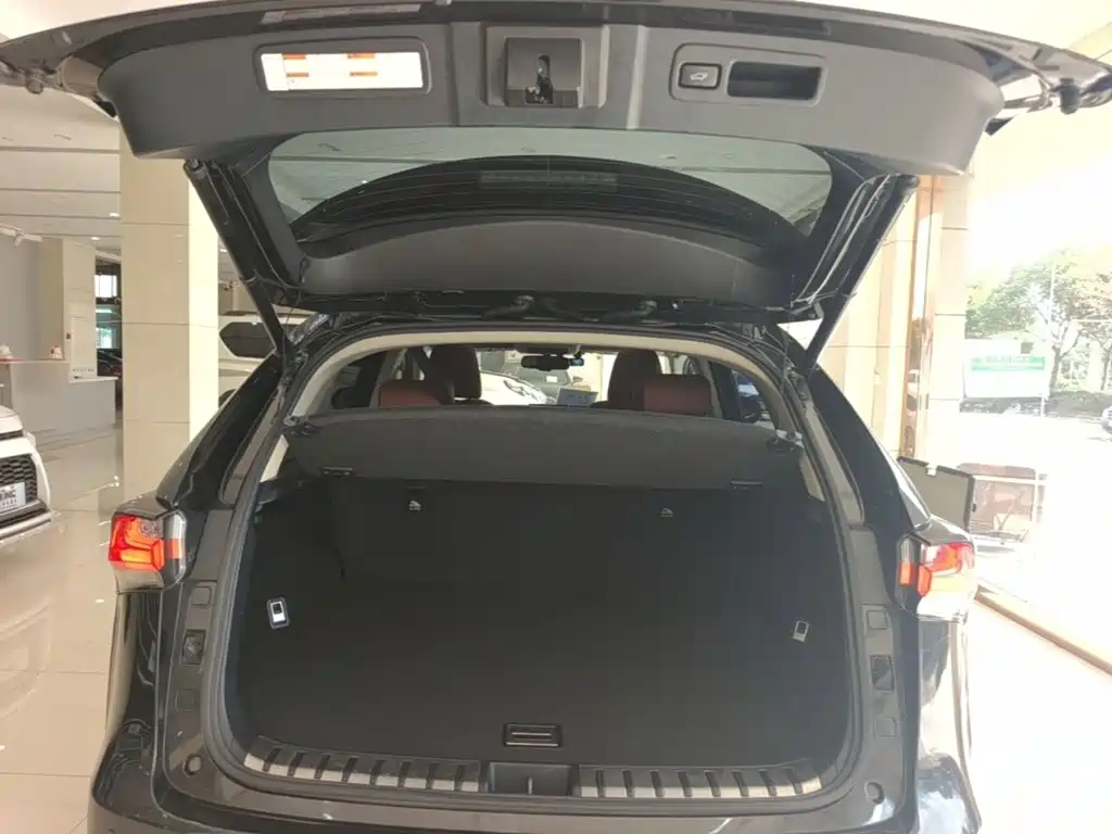 Lexus NX — миниатюра 19