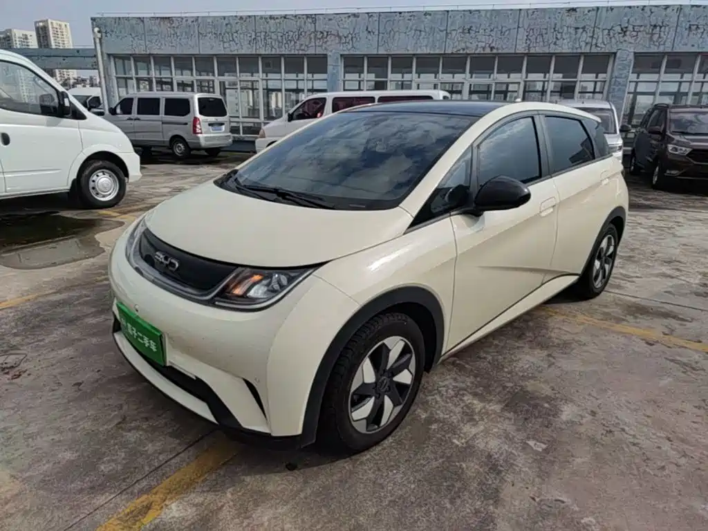 BYD Dolphin — миниатюра 2