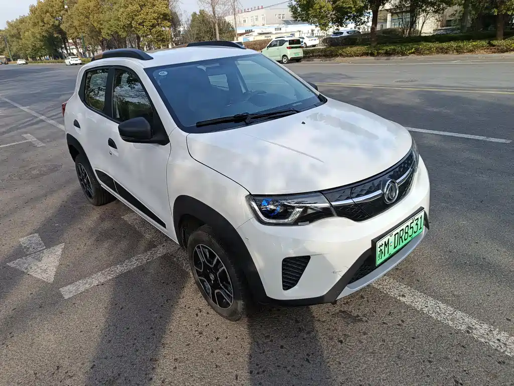 DONGFENG EX1