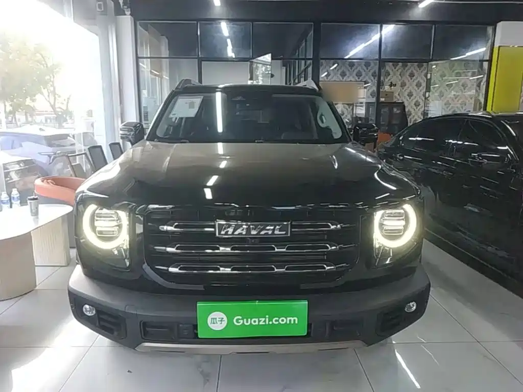 Haval 长城大狗 — миниатюра 3