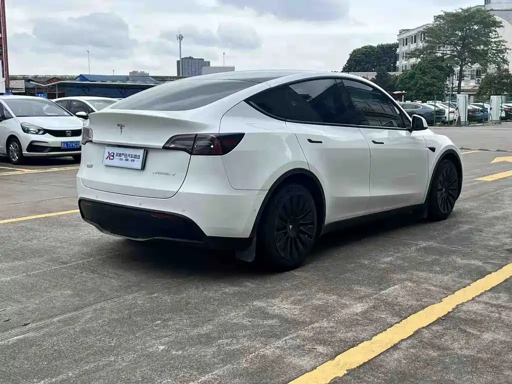 Tesla Model Y — миниатюра 7
