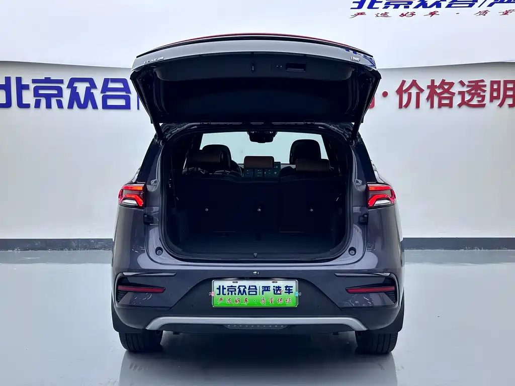 BYD Tang New Energy — миниатюра 22