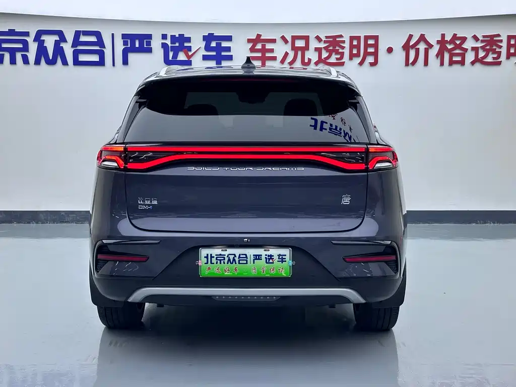 BYD Tang New Energy — миниатюра 23