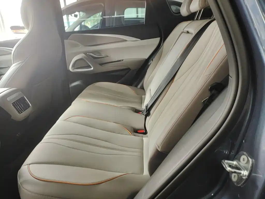 BYD Pro New Energy — миниатюра 17