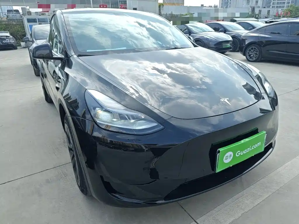 Tesla Model Y — миниатюра 4