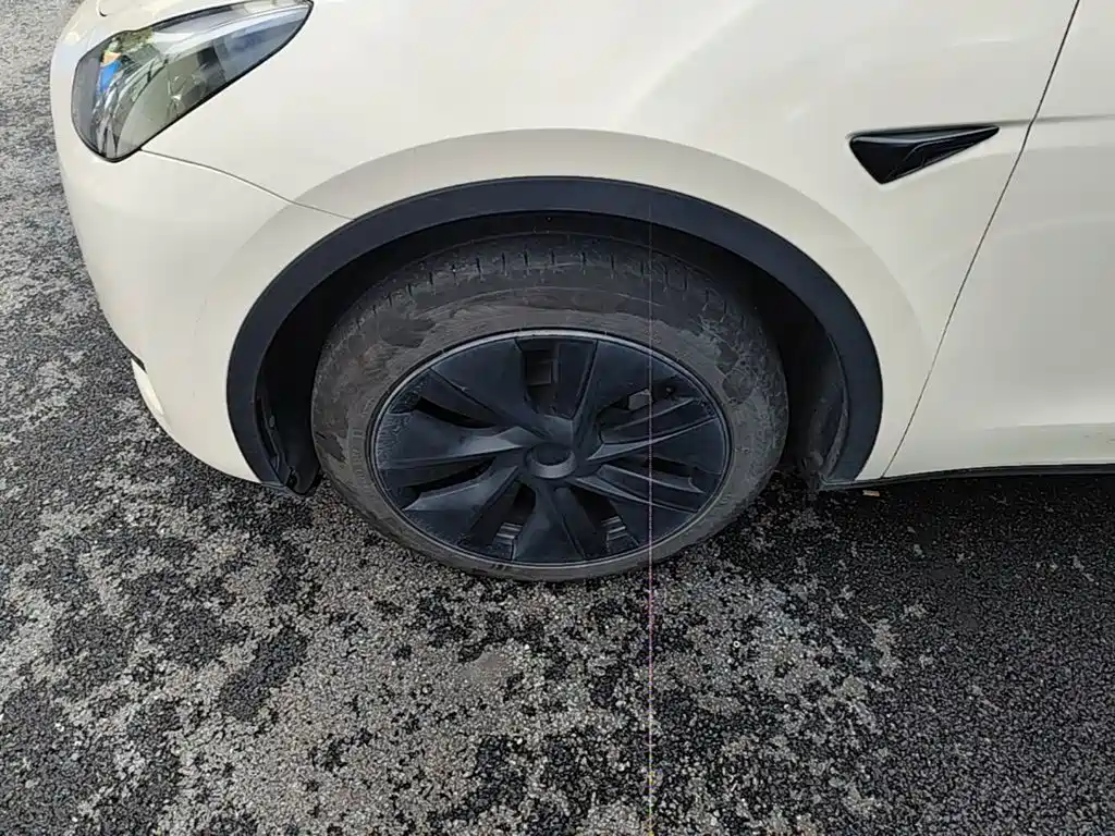 Tesla Model Y — миниатюра 23