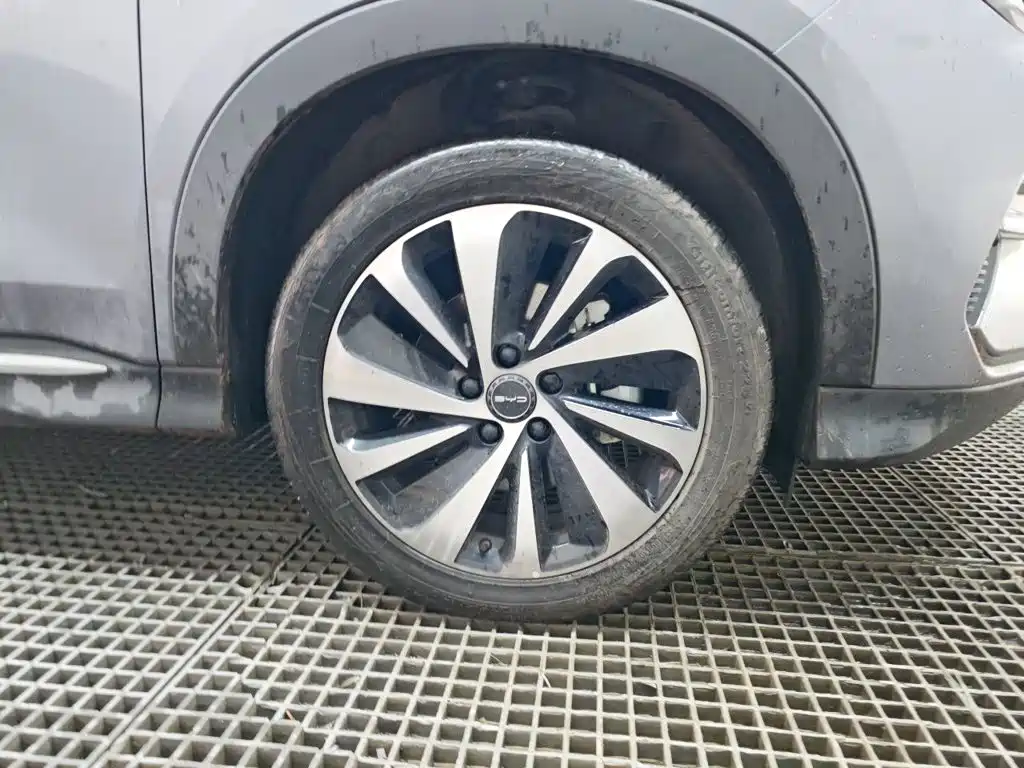 BYD PLUS New Energy — миниатюра 25
