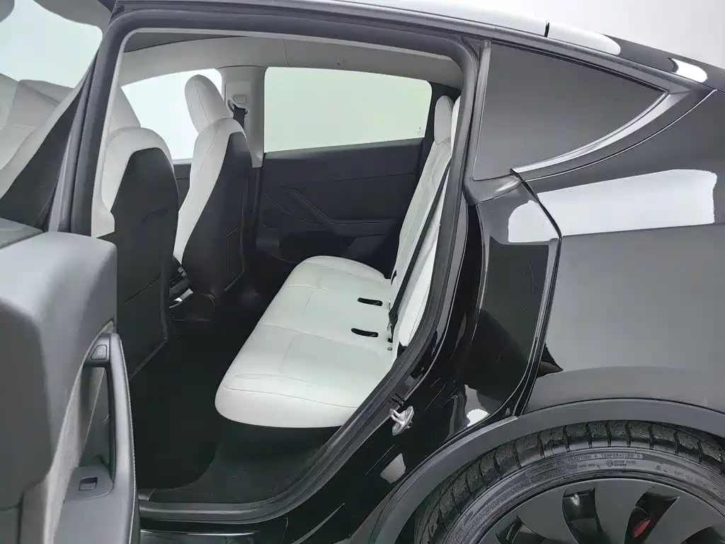 Tesla Model Y — миниатюра 15
