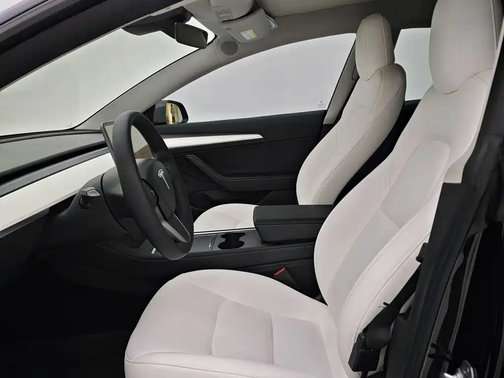 Tesla Model 3 — миниатюра 7