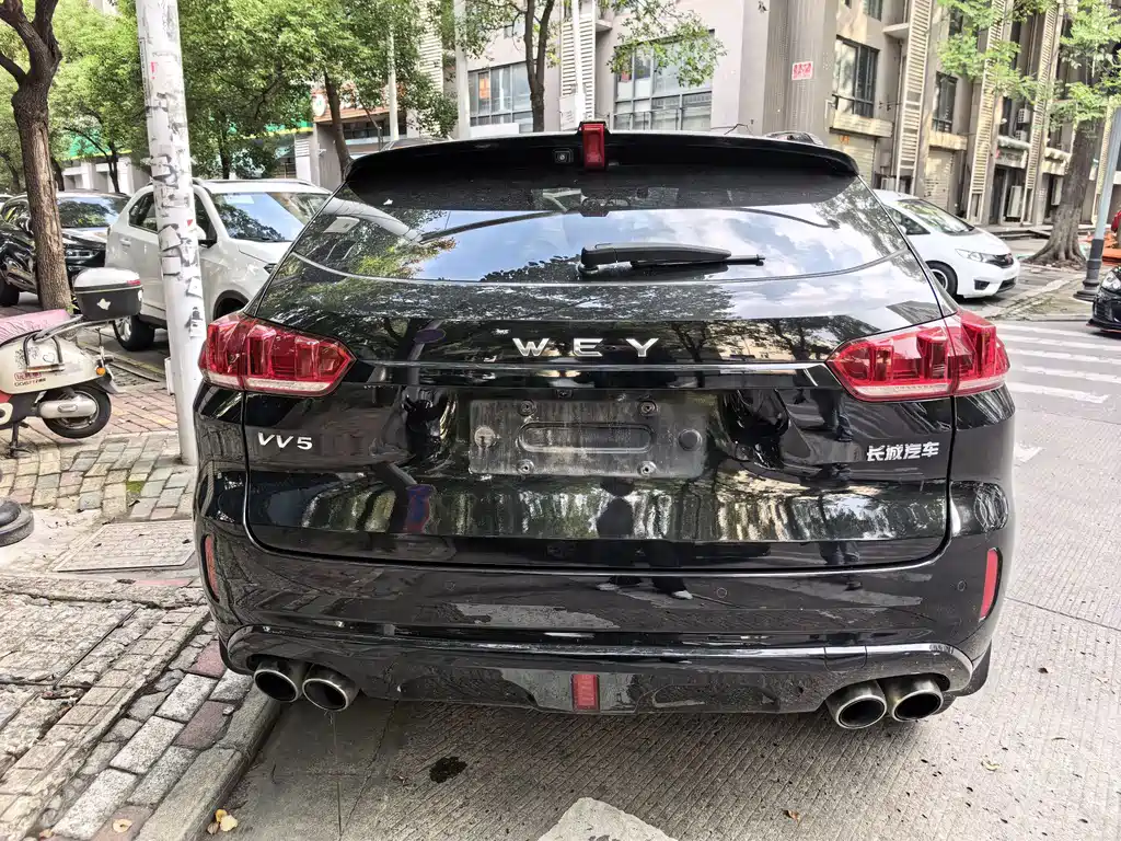 Wey Wey VV5 — миниатюра 13
