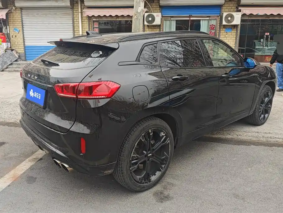 WEI PAI WEI BRAND VV7