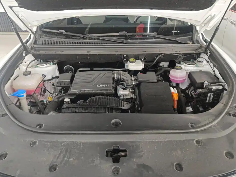BYD Pro New Energy — миниатюра 10