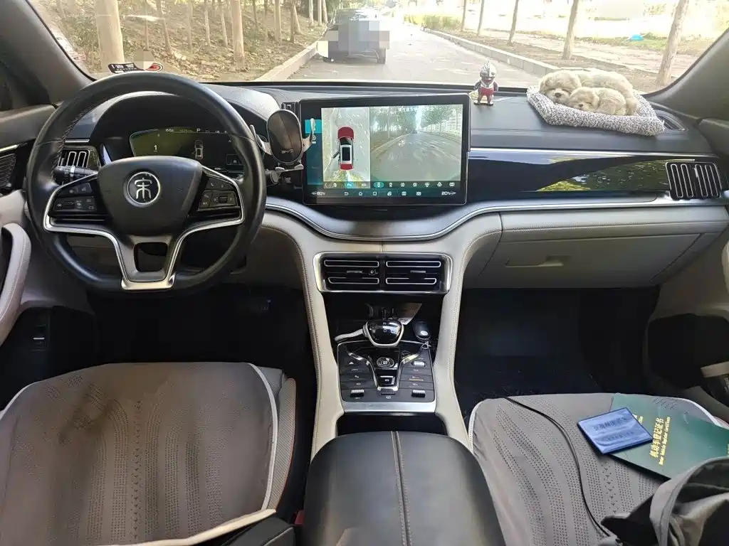 BYD PLUS New Energy — миниатюра 5