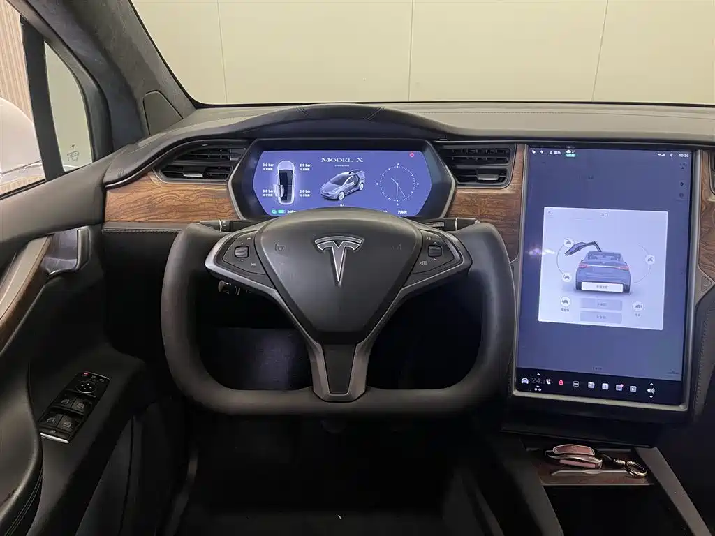 TESLA MODEL X