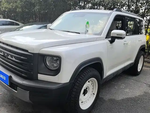 HAVAL RAPTORS NEW ENERGY 2024