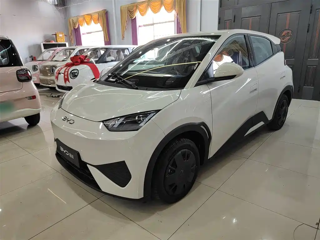 Byd Seagull 2026