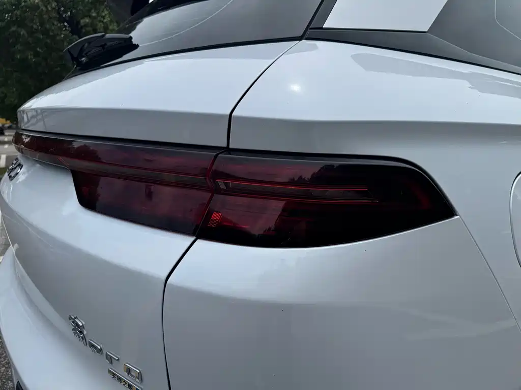 BYD Pro New Energy — миниатюра 8